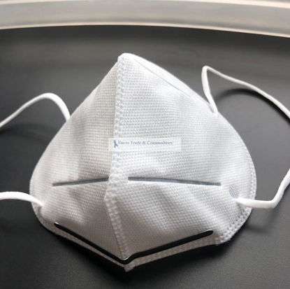 Picture of KN95 Respiratory Mask
