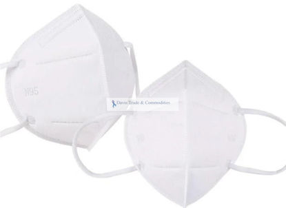 Picture of N95 Respiratory Mask