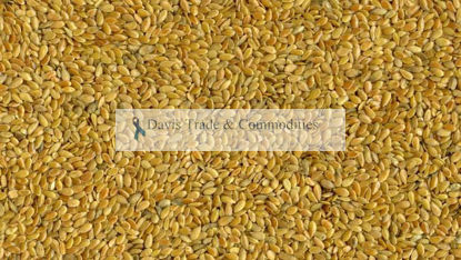 Picture of Flaxseed