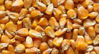 Picture of Corn