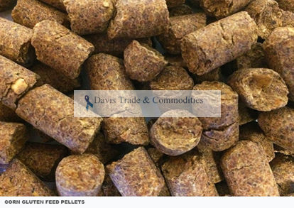 Picture of Corn Gluten Pellets