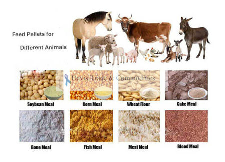 Picture for category Animal Feed