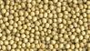 Picture of Soybean