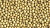 Picture of Soybean
