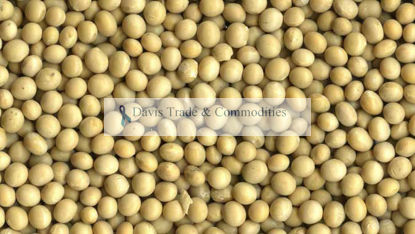 Picture of Soybean