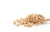 Picture of Soybean