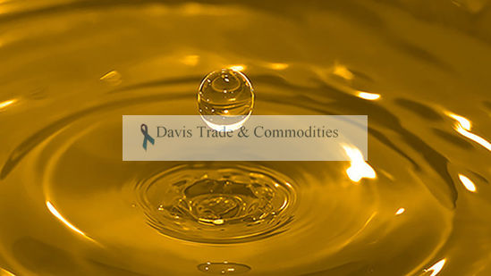 Picture of Corn Oil