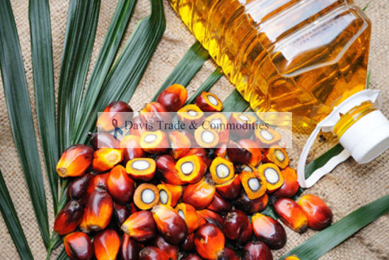 Picture of Palm Kernel Oil