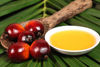 Picture of Palm Kernel Oil